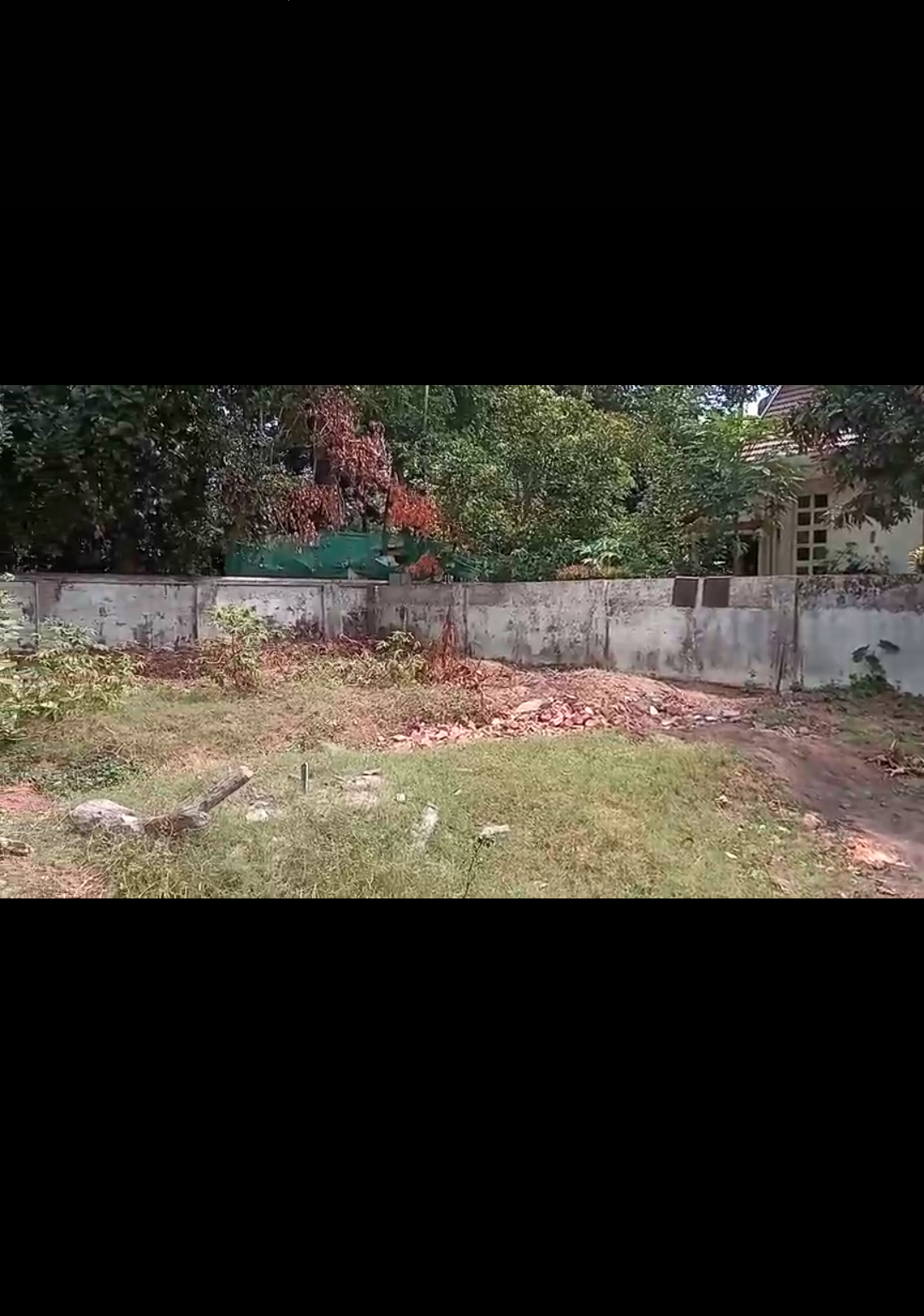 5.50 Cents of Land