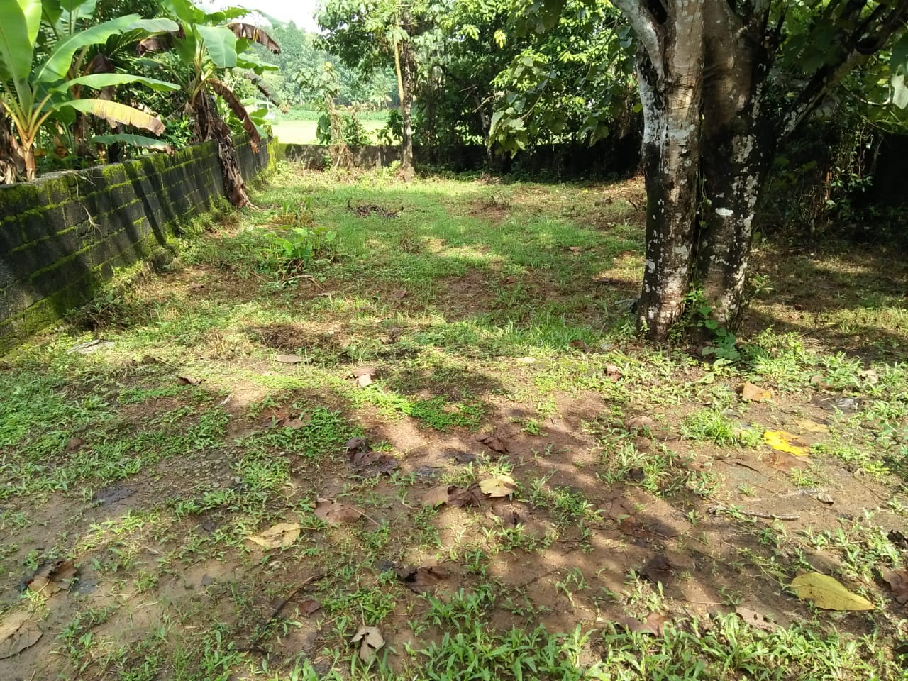 5 Cent Land  for sale . - for sale in Pallikkara, Kochi ( Ernakulam ), Kerala