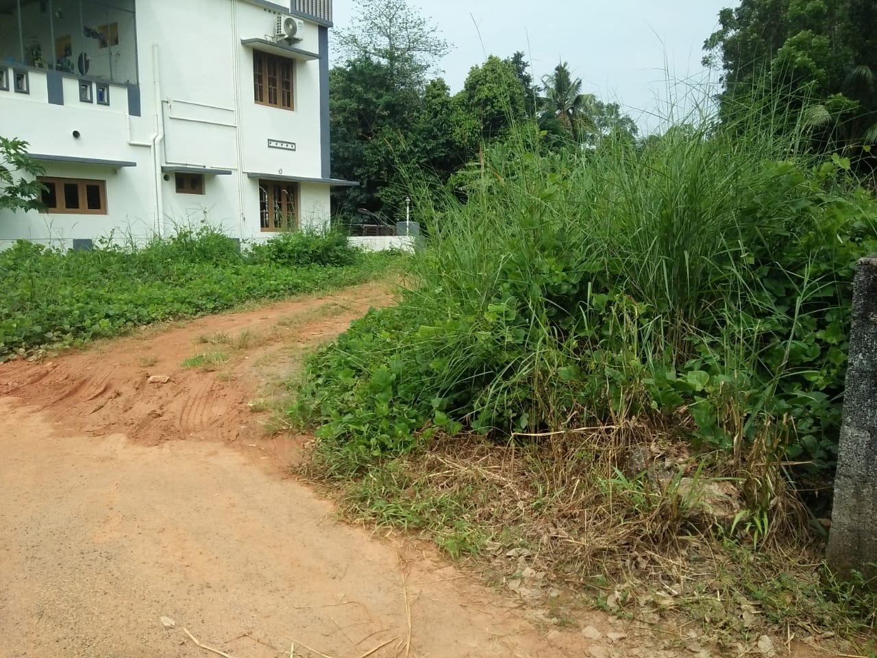 5 Cent of Residential Land - for sale in Pallikkara, Kochi ( Ernakulam ), Kerala