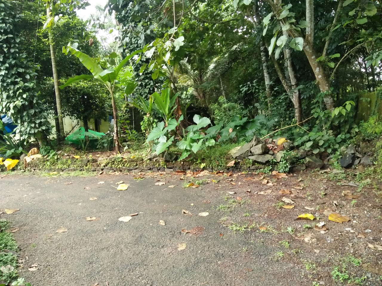 5 Cent Residential Land - for sale in Pallikkara, Kochi ( Ernakulam ), Kerala