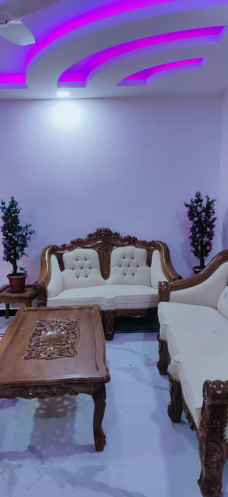 5BHK Fully Furnished House with 19.50Cent Land5000sqft - for sale in Palachuvadu, Kochi ( Ernakulam ), Kerala