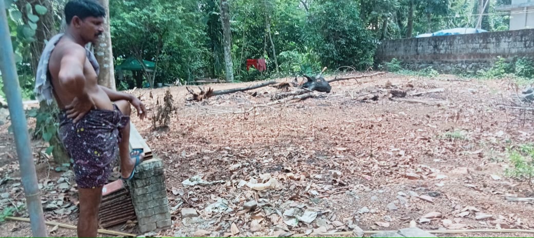 5cent of Residential Plot in Pallikkara, Kakkanad