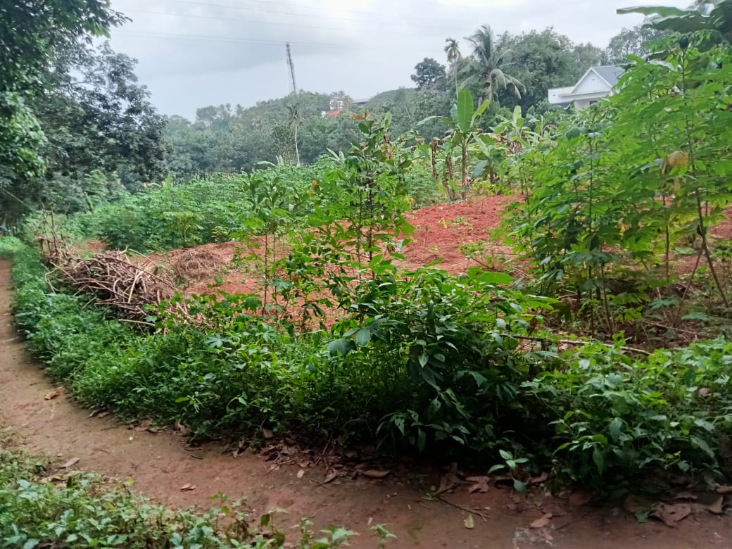 5Cents of Residential Land