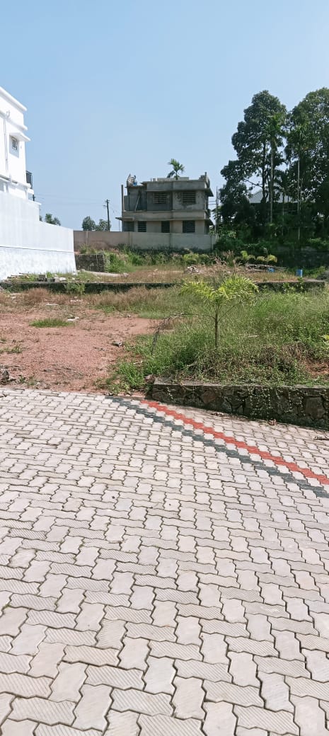 6.5cent of Residential Plot in Morakkala, Pallikkara