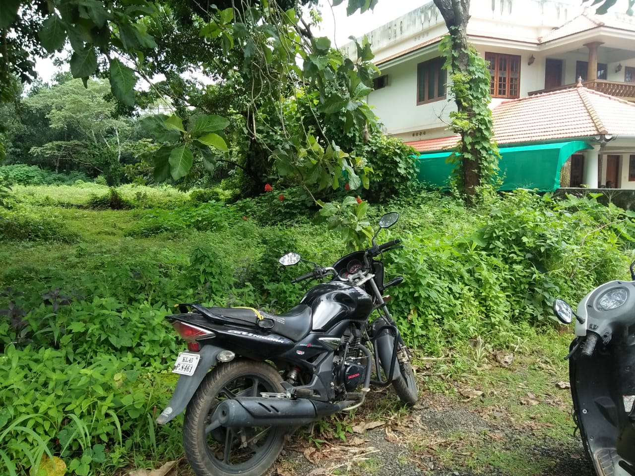 6 Cent Land  for sale. - for sale in Pallikkara, Kochi ( Ernakulam ), Kerala
