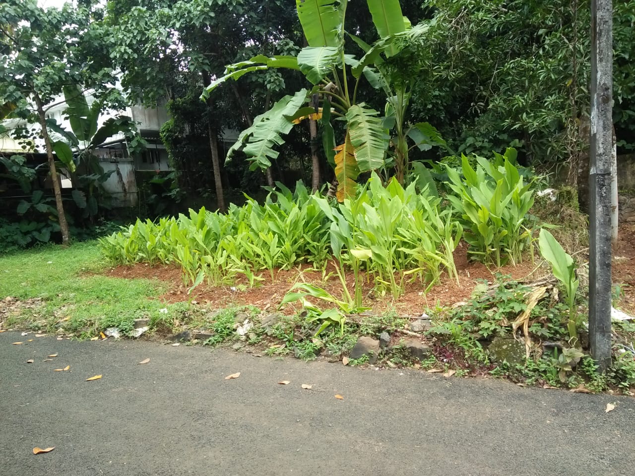 6 Cent Land  for sale. - for sale in Pallikkara, Kochi ( Ernakulam ), Kerala