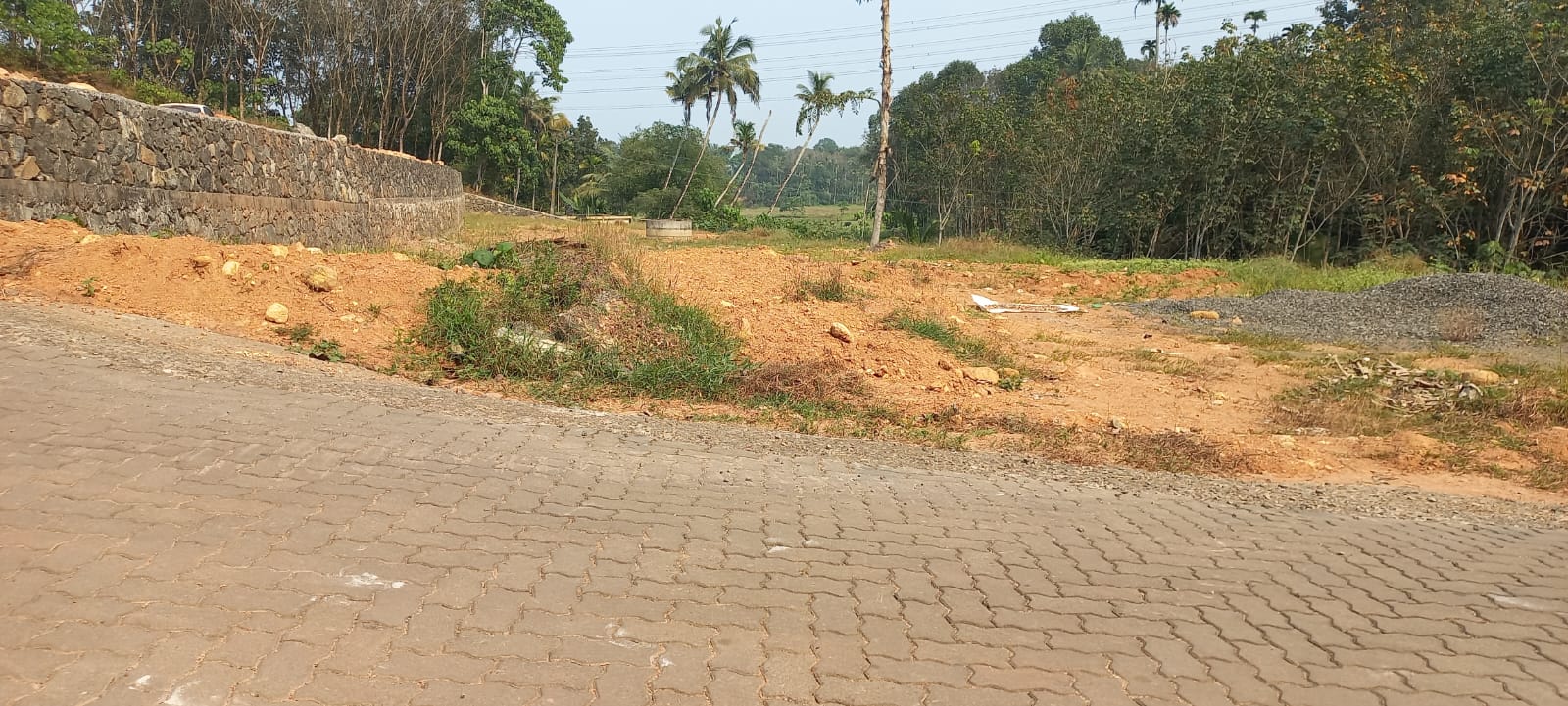 63cents of Land in Vembilly, Pallikkara