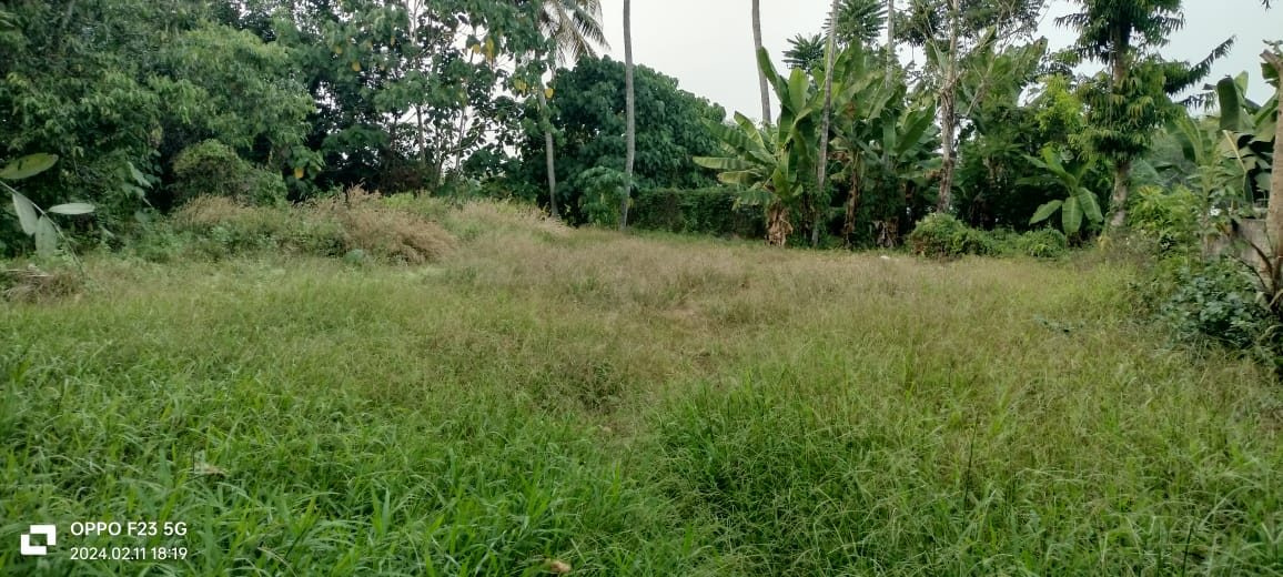 6Cents of House plots