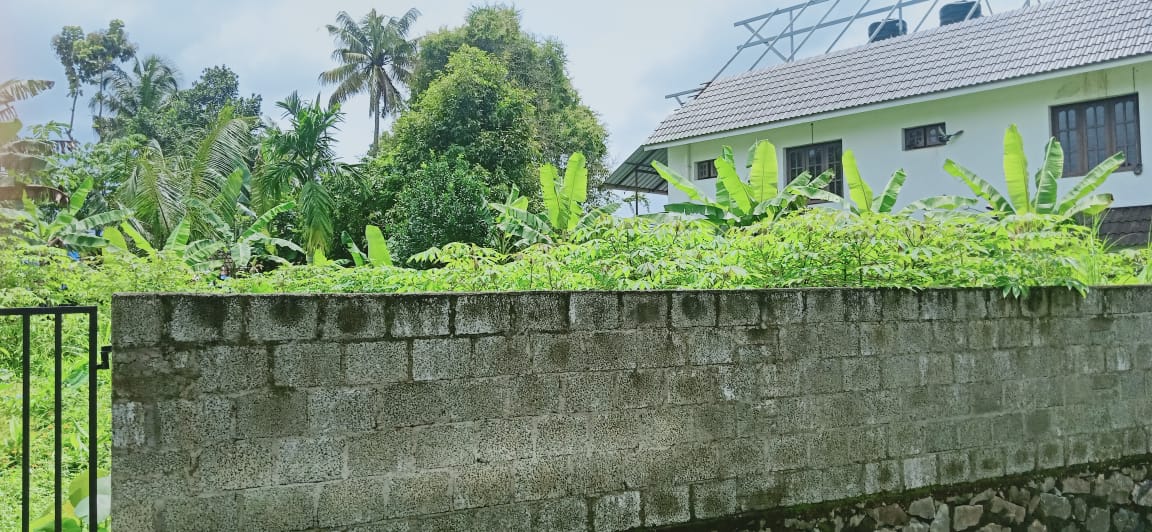 7.5Cents of Residential Property - for sale in Thevakkal, Kochi ( Ernakulam ), Kerala