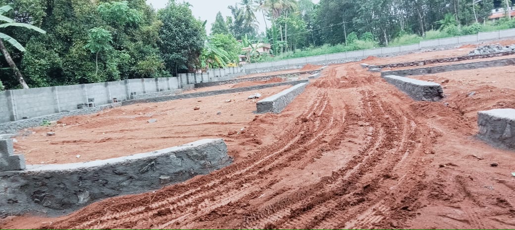 80 cent of property in Pallikkara