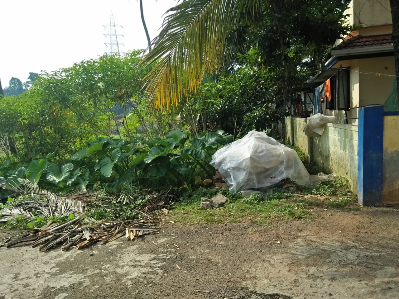 8Cents Residential Property - for sale in Pallikkara, Kochi ( Ernakulam ), Kerala