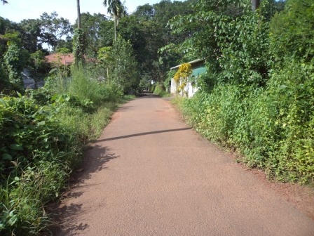 9.500 cents of land