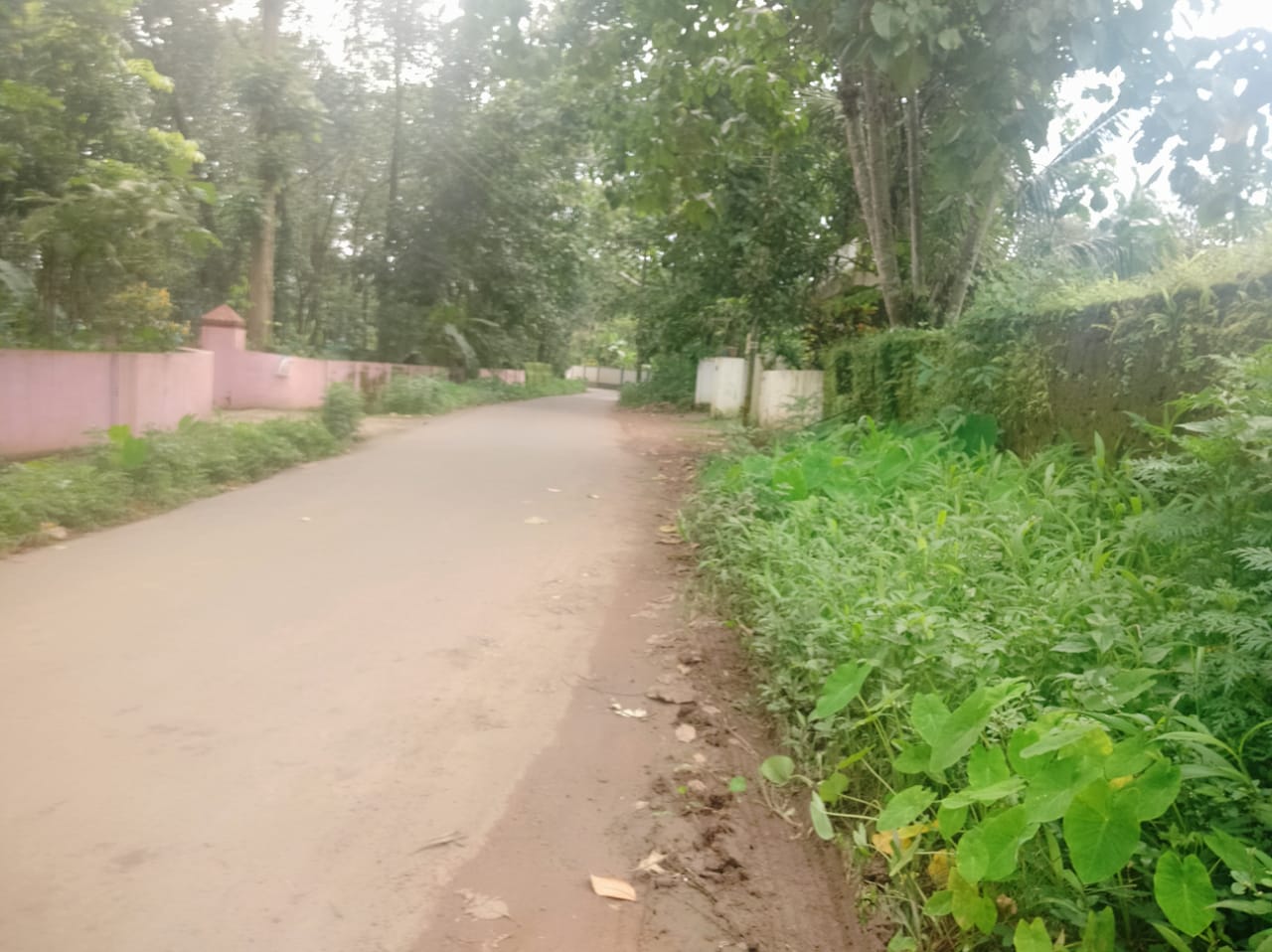 3BHK Semifurnished House1400sqft in Chottanikkara