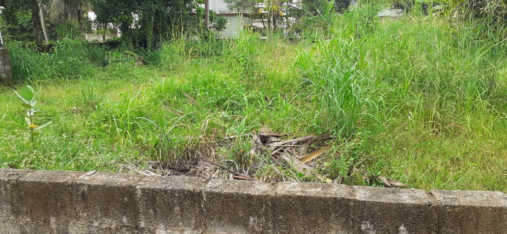 23 cents of land in Edapally
