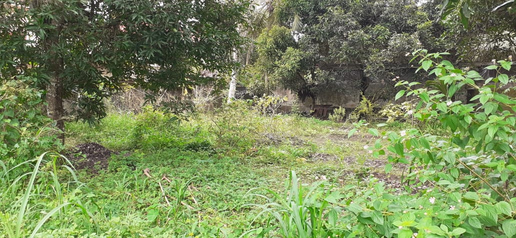23 cents of land in Edapally