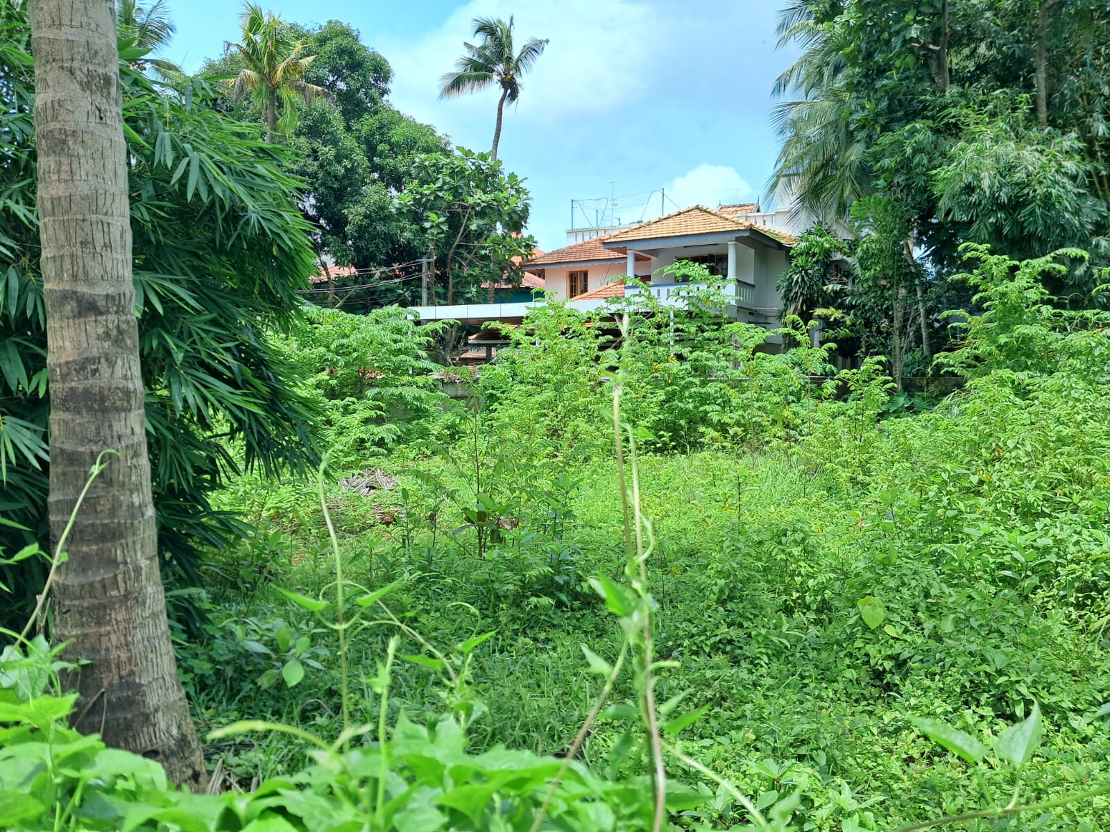 12 cents of prime Commercial/Residential property