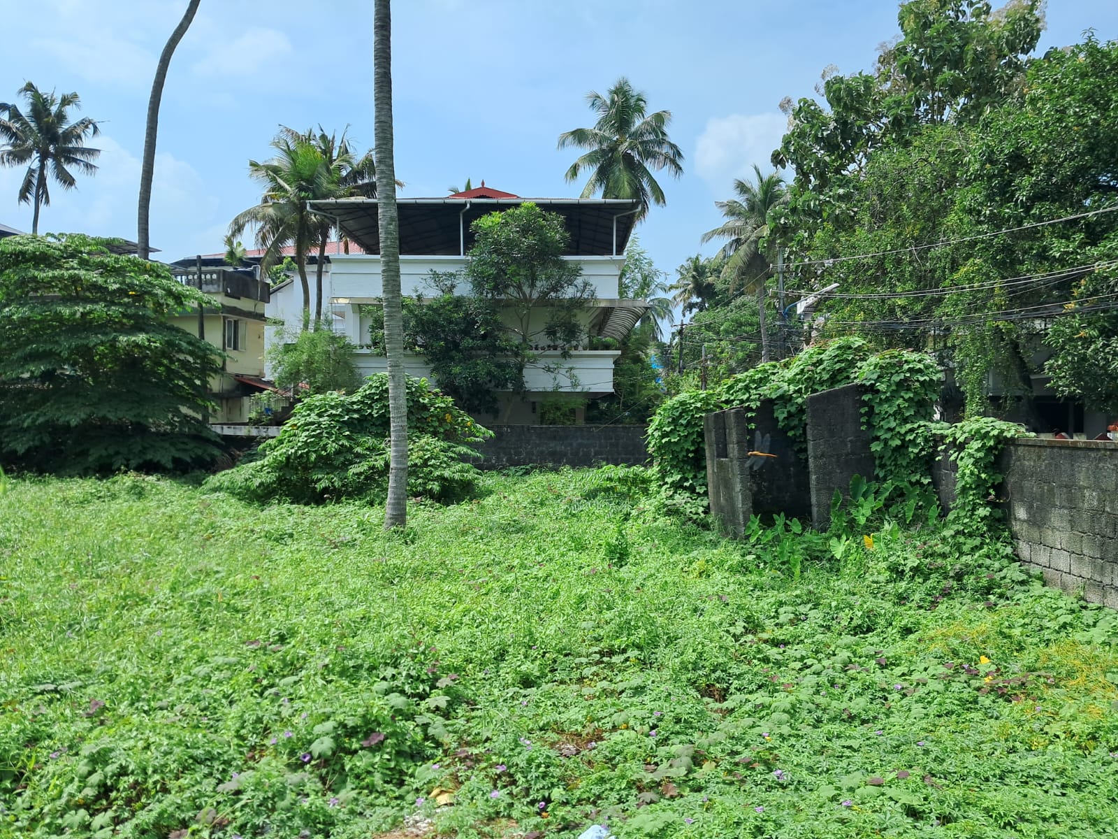 14 cents of Commercial/residential land