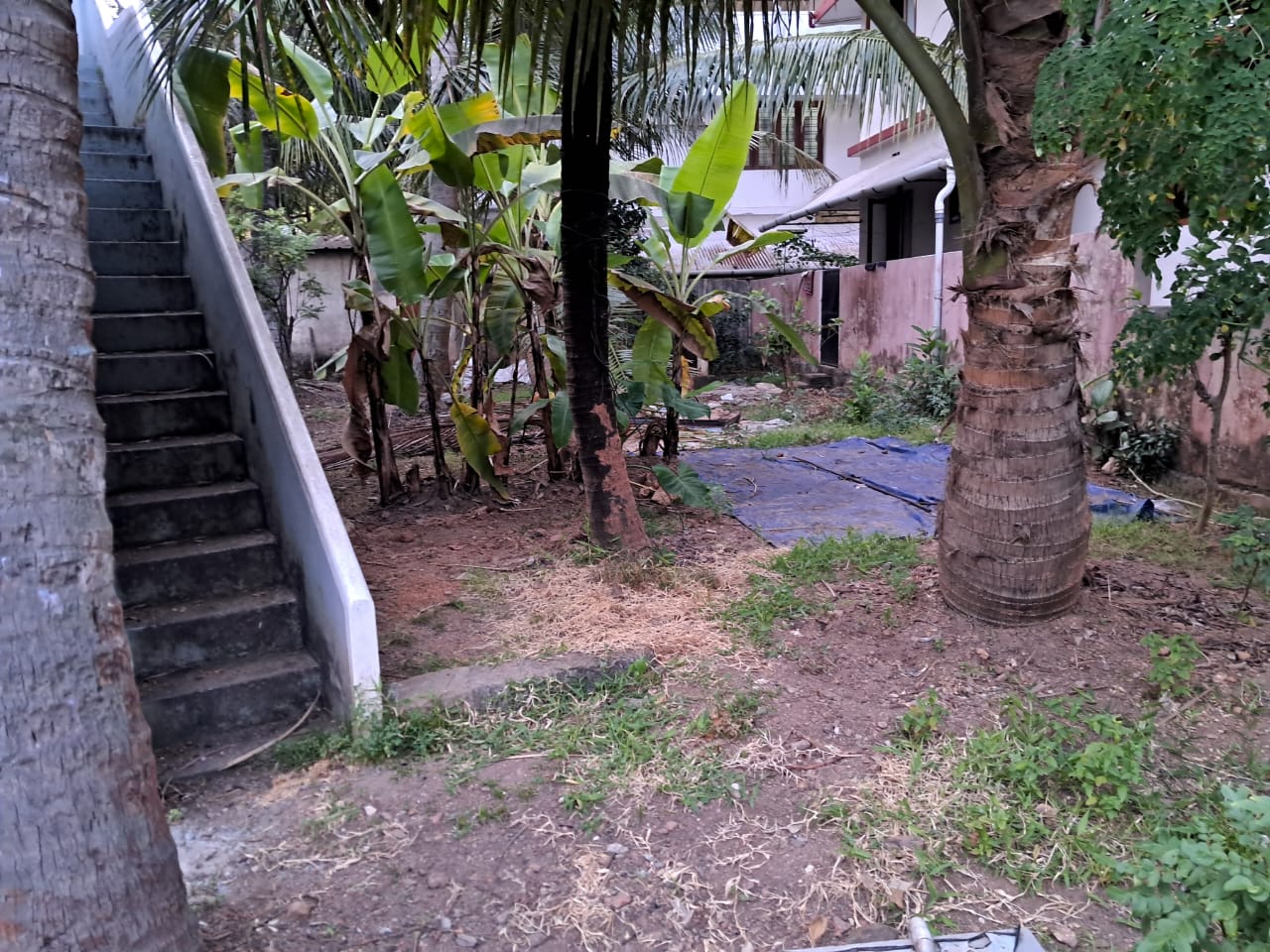 5.700 Cents land with old House in Kaloor