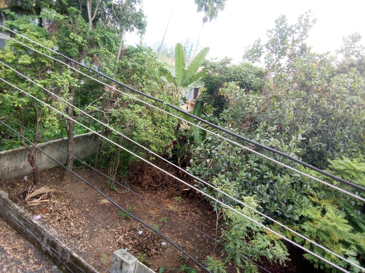 5 cents of Land/residential plot