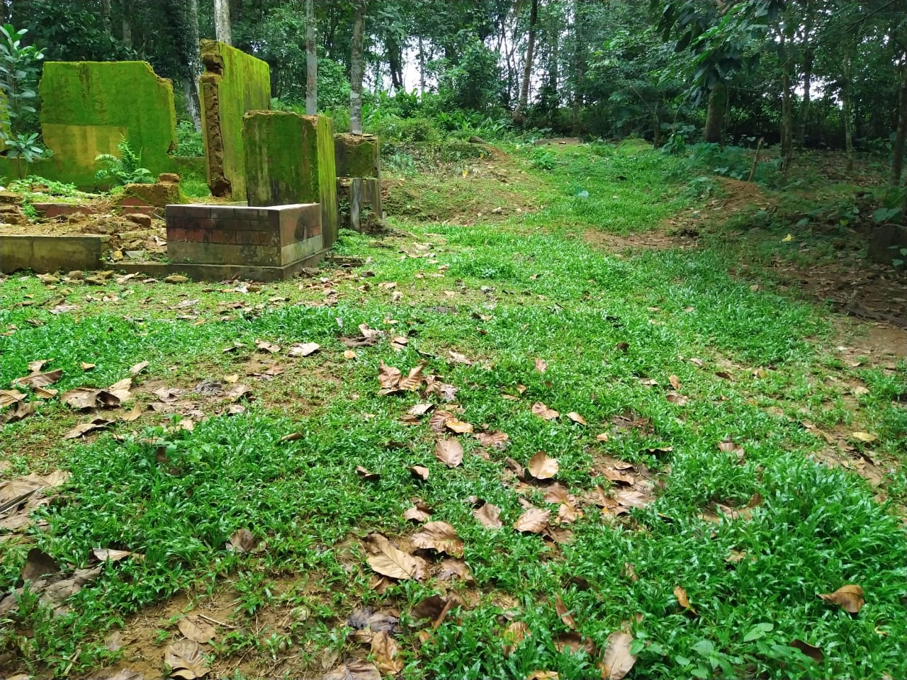 16 Acres of Land - for sale in Kanjirappilly Kottayam, Kottayam, Kerala
