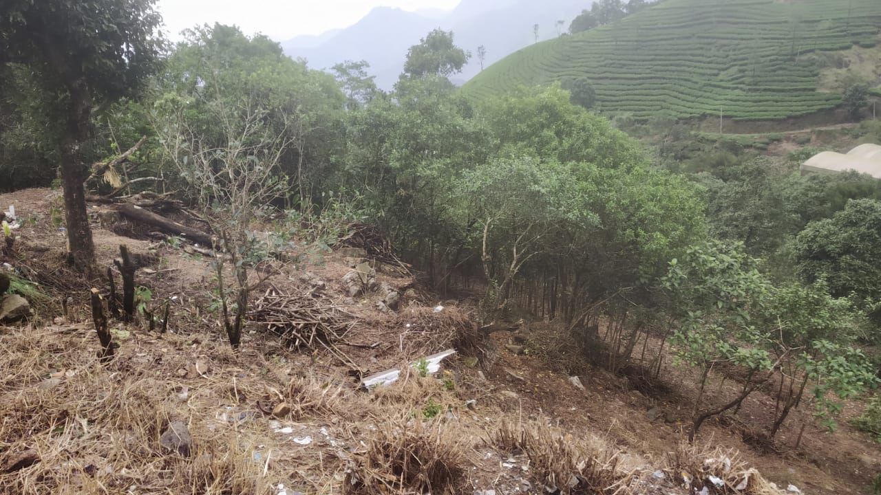 3 Acres of Beautiful land for sale. - for sale in Vagamon, Kottayam, Kerala