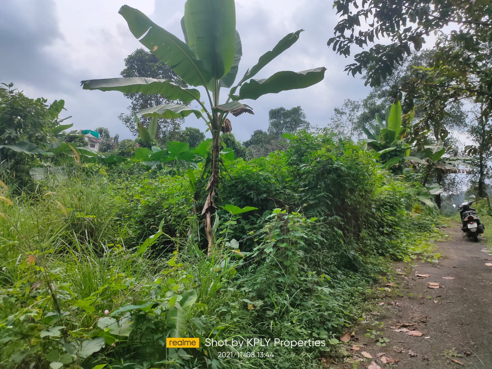 50Cent of Residential Land - for sale in Kanjirapally Kottayam, Kottayam, Kerala