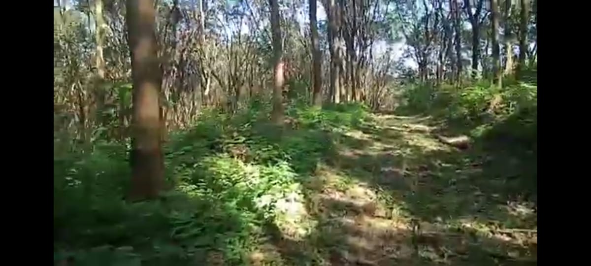 7.5 Acres of Land Kanjirappally, Kottayam - for sale in Kanjirappally, Kottayam, Kerala