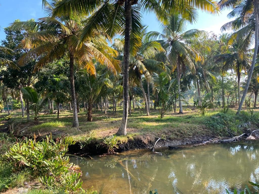 2 Acres of Waterfront Property - for sale in Karunagappally Kollam, Pathanamthitta, Kerala
