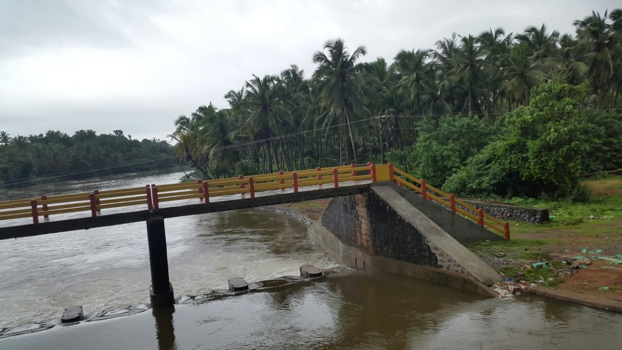 3.25 Acres of Coconut plantation - for sale in Nileswar, 18, Kerala