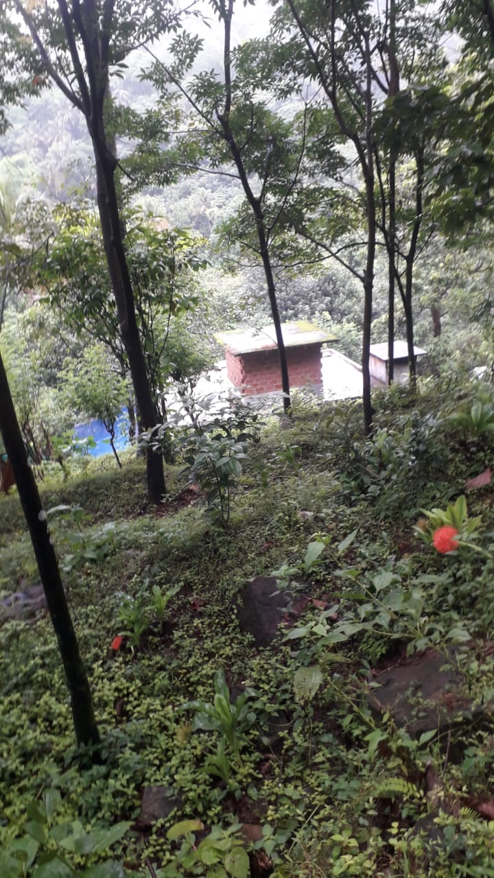 1900sqft, 4BHKBrandnew Villa in Peringala, Pallikkara