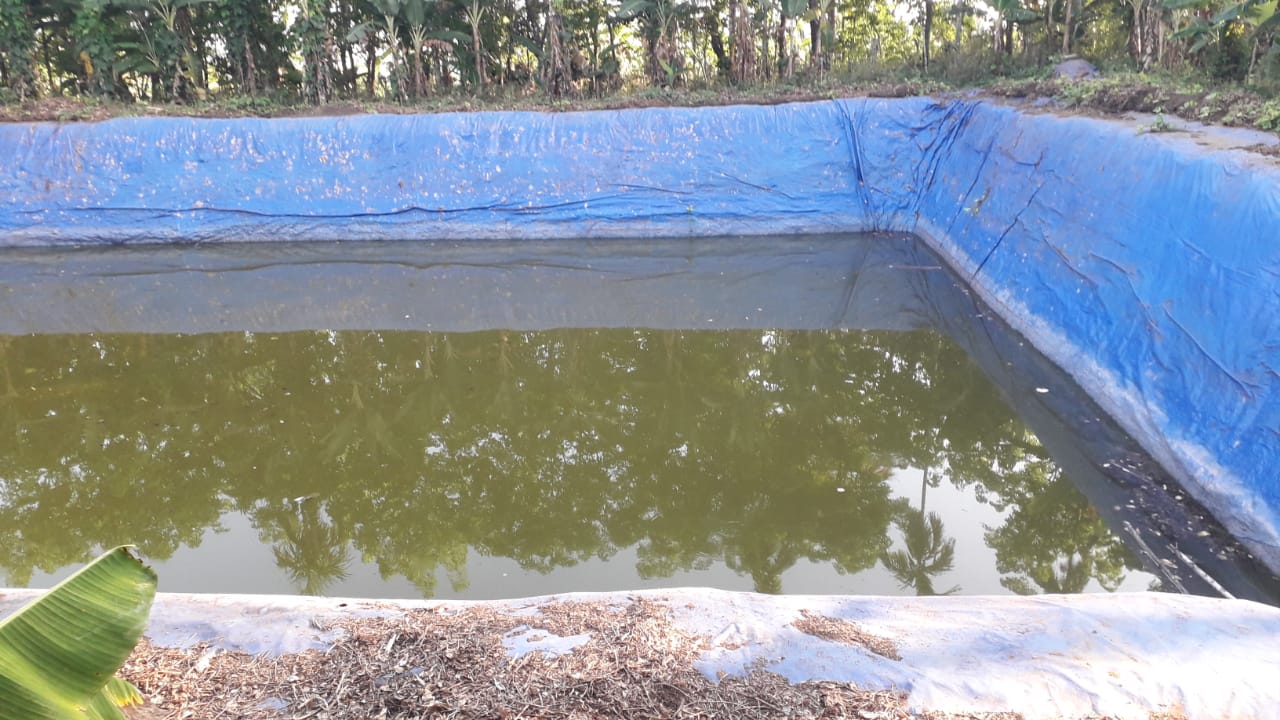 1900sqft, 4BHKBrandnew Villa in Peringala, Pallikkara