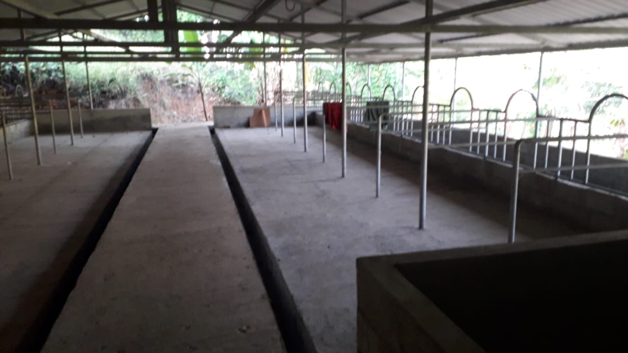 1900sqft, 4BHKBrandnew Villa in Peringala, Pallikkara