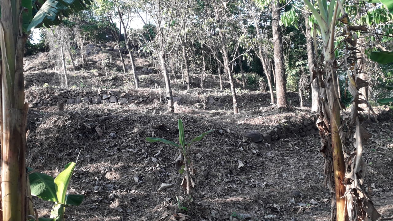 1900sqft, 4BHKBrandnew Villa in Peringala, Pallikkara