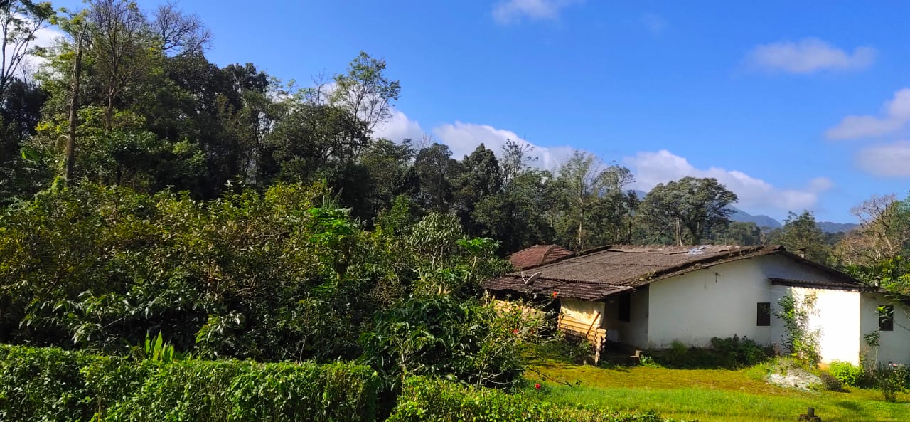 4BHK Semifurnished House-2, Kakkanad, 1900sqft