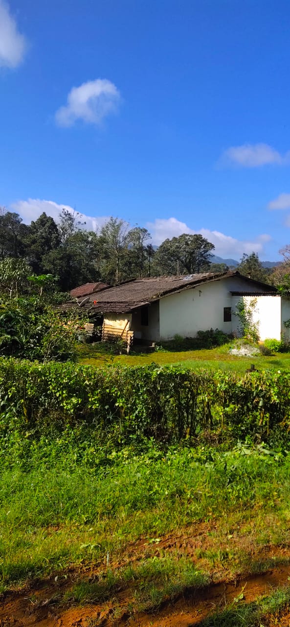 4BHK Semifurnished House-2, Kakkanad, 1900sqft