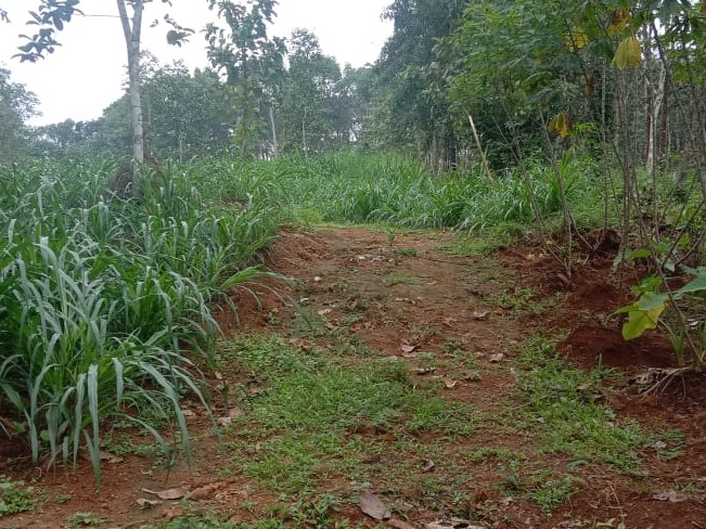 1 Acres of Land