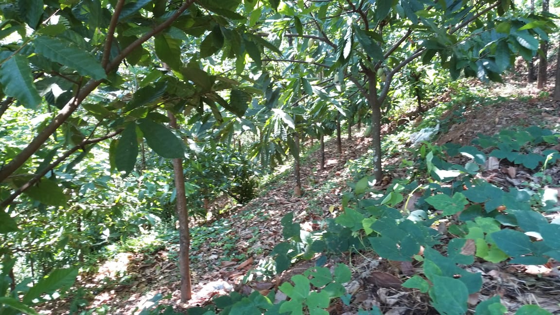 10 Acres of Land