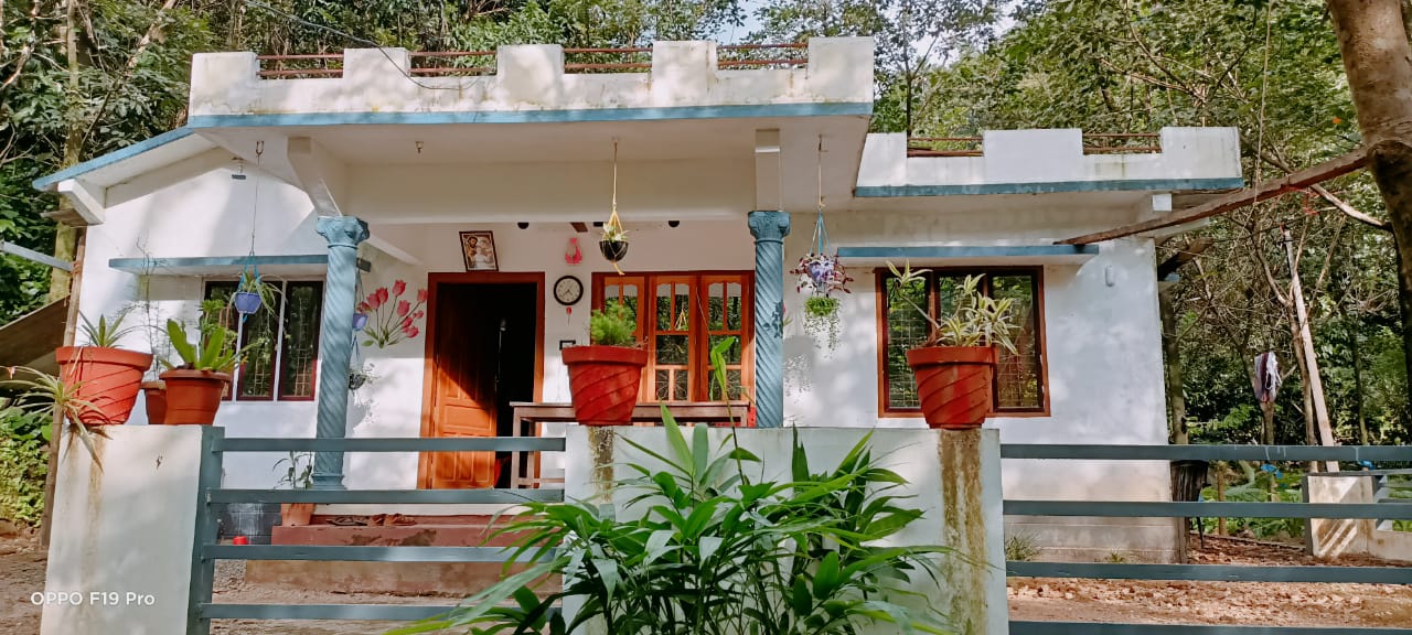 6cent of Residential Plot in Eruvely, Chottanikara - for sale in Eruvely Chottanikkara, Kochi ( Ernakulam ), Kerala