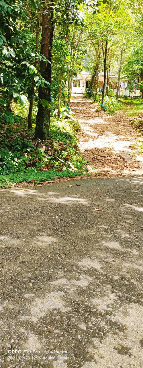 6cent of Residential Plot in Eruvely, Chottanikara
