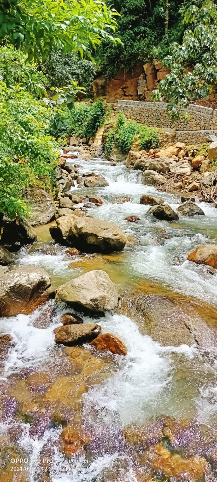 6cent of Residential Plot in Eruvely, Chottanikara