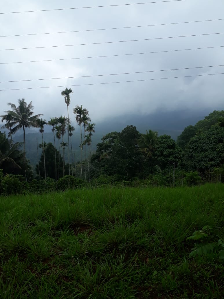 4.50Acres of Land with 3BHK House