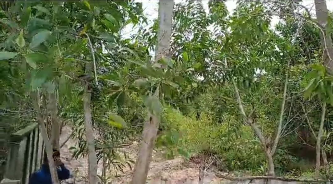 50Cents of Land