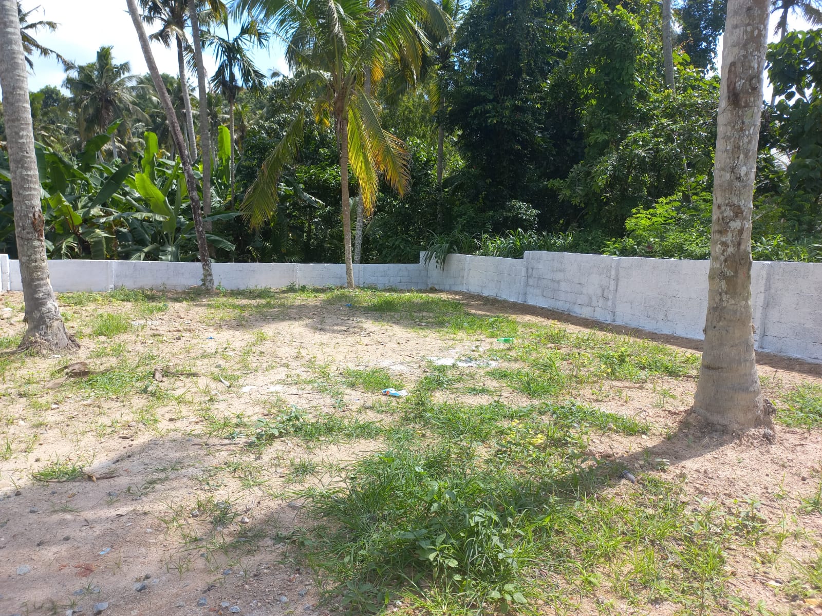 3BHK Furnished Flat in Judges Avenue, Kaloor,1320sqft