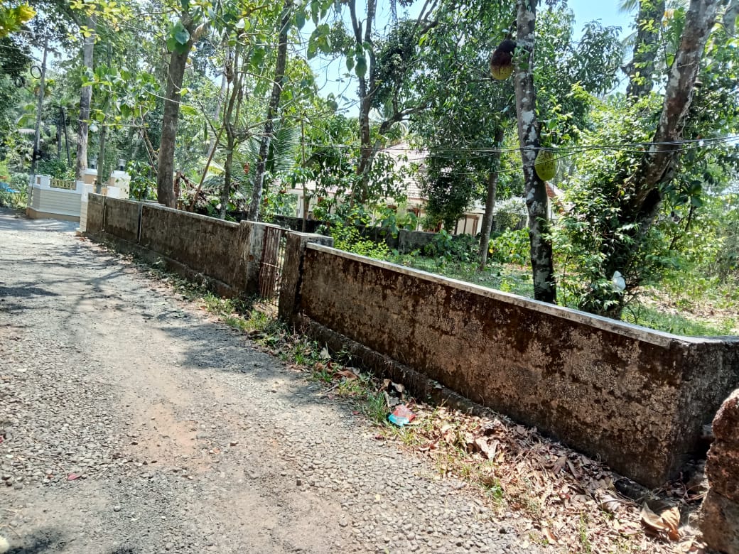 10Cents of Residential Plot - for sale in Kizhakkambalam, 18, Kerala