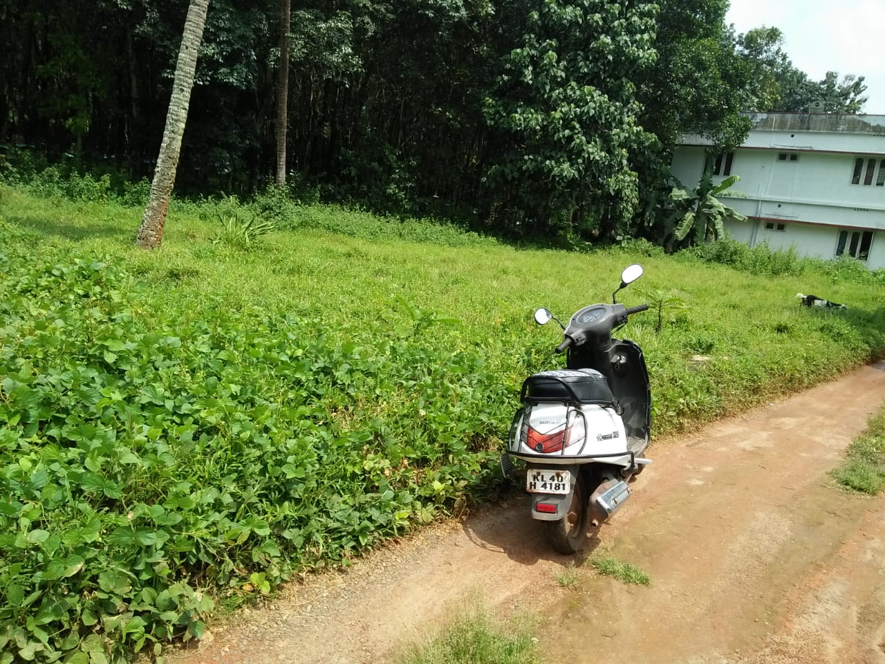 15 Cent Residential Land