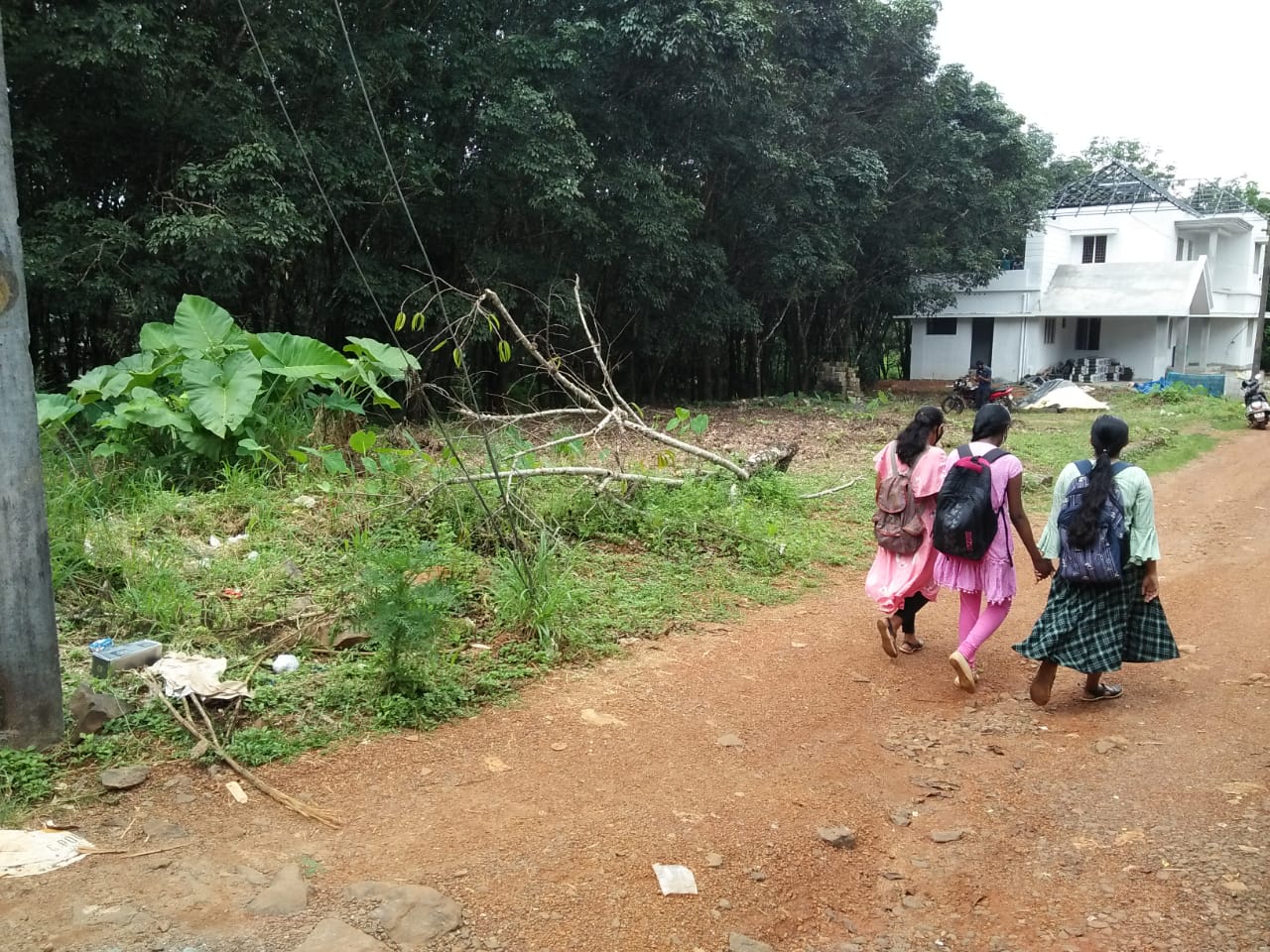 17Cent Residential Land - for sale in Kizhakkambalam, 18, Kerala