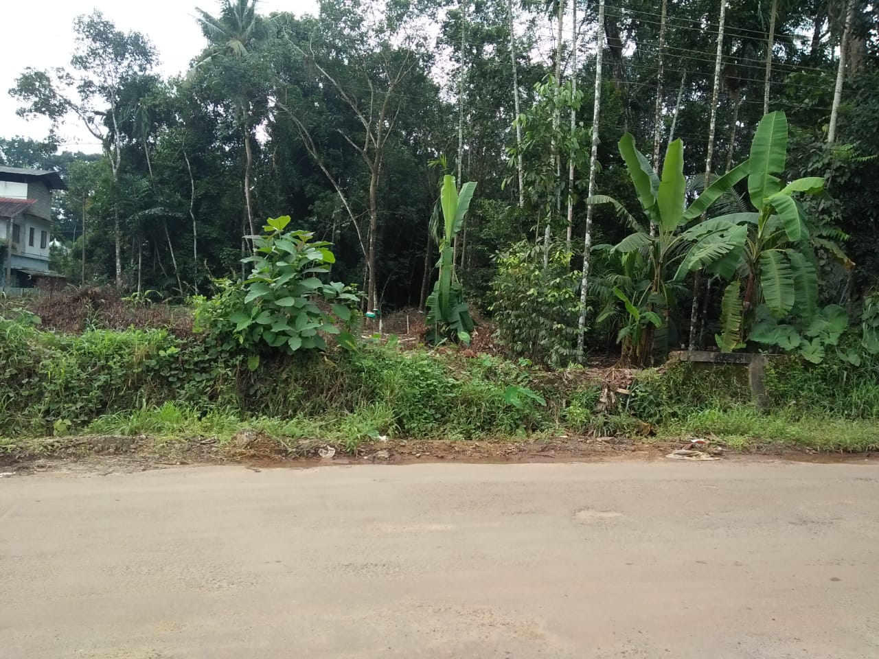 20cent of Residential Land