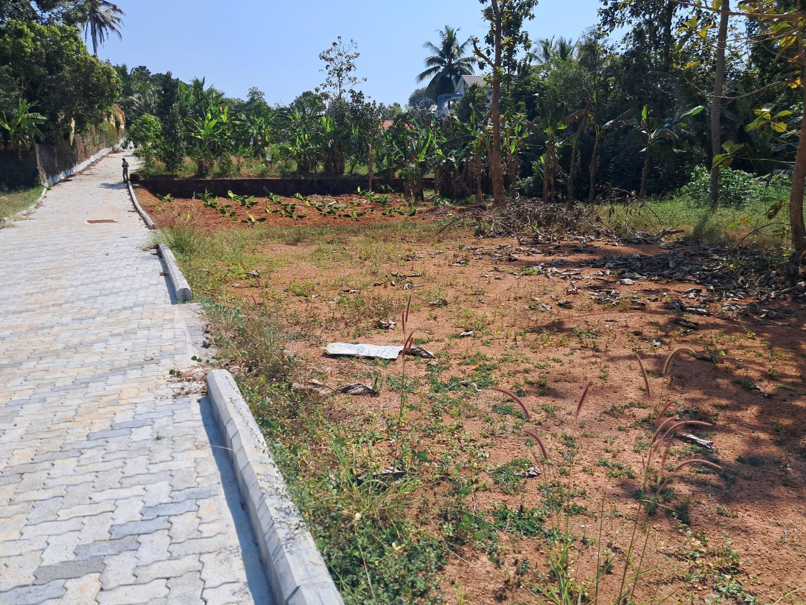 5 Cent of Gated Villa plots