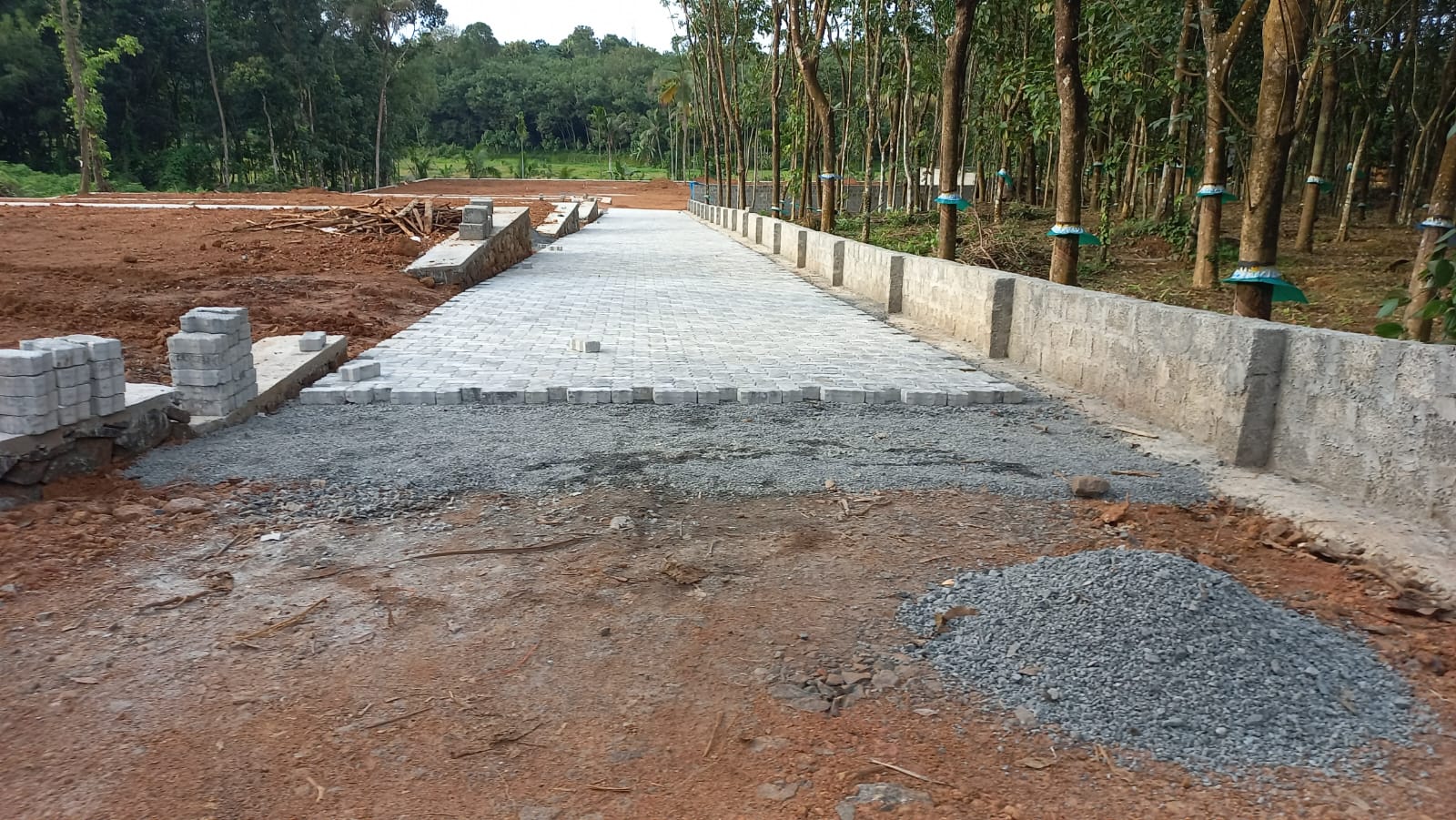 8.400cents of Residential plot in Kadayirippu, Kolenchery