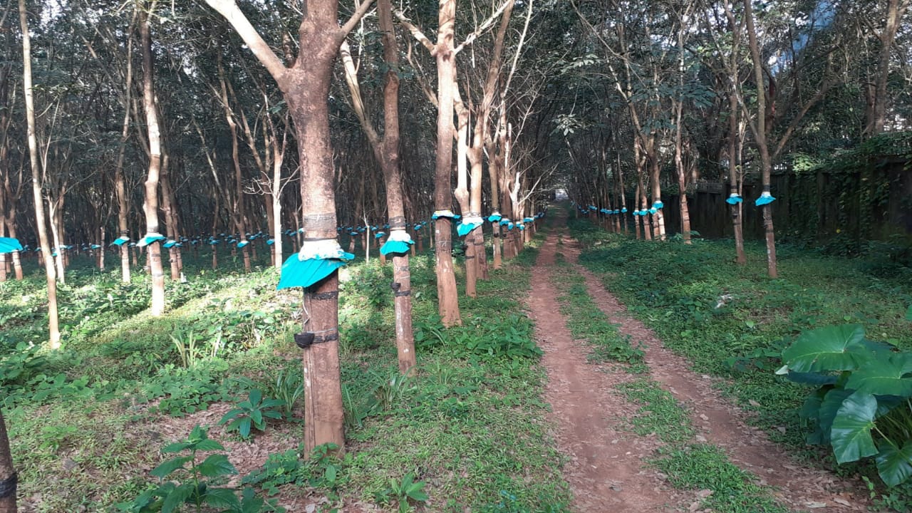 10 Acres of Prime property